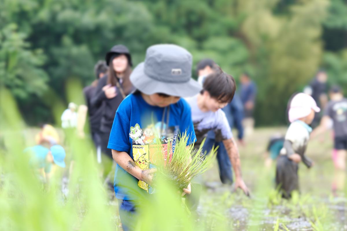 田植えイベント2025